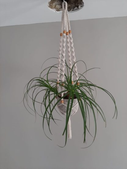 Plantenhanger macramé ongebleekt katoen