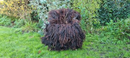 XL vacht donkerbruin 'Marina'
