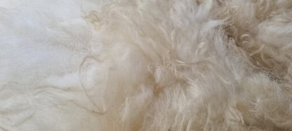 Grote witte vacht 'Wies' - Afbeelding 2