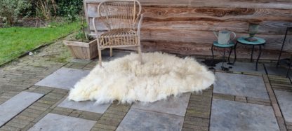 Grote witte vacht 'Wies'