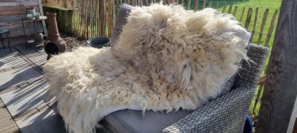 Grote witte vacht 'Nelly' - Afbeelding 2