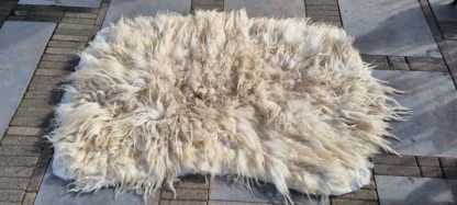 Grote witte vacht 'Nelly' - Afbeelding 6