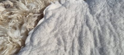 Grote witte vacht 'Nelly' - Afbeelding 3