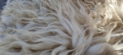 Grote witte vacht 'Nelly' - Afbeelding 4