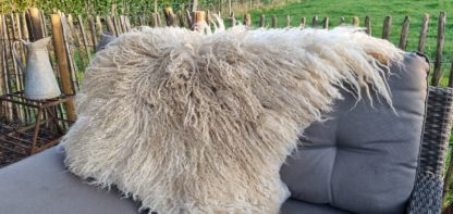 Krullenvacht wit 'Jaap' - Afbeelding 6