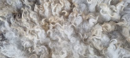 Vachtje lichtgrijs/ beige 'Marry' - Afbeelding 2