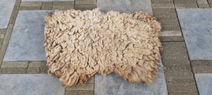 Vacht beige 'Stella' - Afbeelding 2