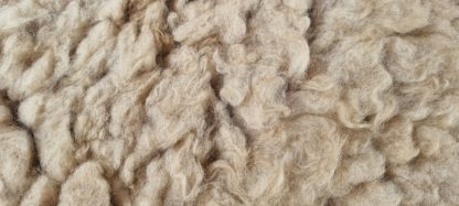 Vacht beige 'Stella' - Afbeelding 3