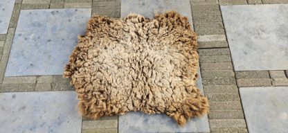 Vacht bruin 'Cynthia' - Afbeelding 3