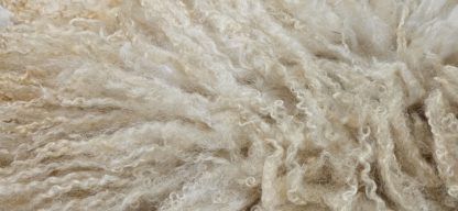 Grote witte vacht 'Lotje' - Afbeelding 4