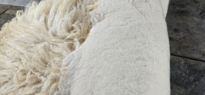 Grote witte vacht 'Lotje' - Afbeelding 5