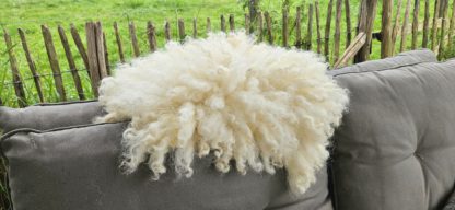 Vacht wit 'Betty' - Afbeelding 7