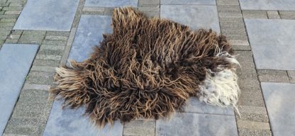Vacht bruin/wit 'Teuntje' - Afbeelding 2