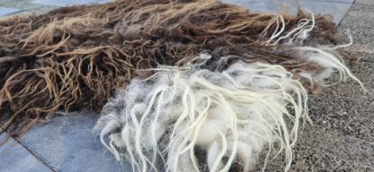 Vacht bruin/wit 'Teuntje' - Afbeelding 4