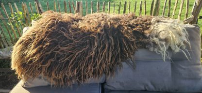 Vacht bruin/wit 'Teuntje' - Afbeelding 6