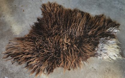 Vacht bruin/wit 'Teuntje' - Afbeelding 8