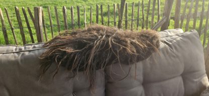 Vachtje bruin/grijs 'Gerda' - Afbeelding 5