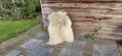 Grote witte vacht 'Hilde'