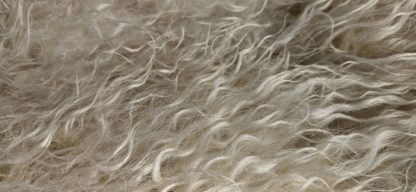 Grote witte vacht 'Hilde' - Afbeelding 2
