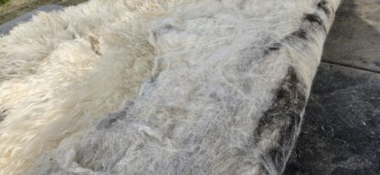 Grote witte vacht 'Hilde' - Afbeelding 5