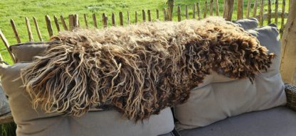 Vacht bruin/lichtbruin 'Nelleke' - Afbeelding 5