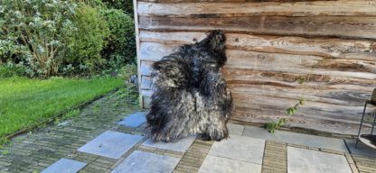 Vacht grijs/ zwart 'Babs'