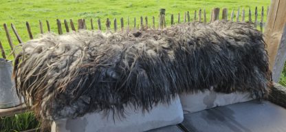 Vacht grijs/ zwart 'Babs' - Afbeelding 7