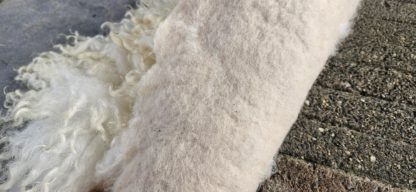 Vachtje wit 'Milou' - Afbeelding 5