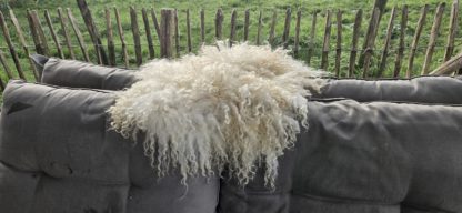Vachtje wit 'Milou' - Afbeelding 6