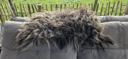Vacht donkergrijs/ bruin 'Titia' - Afbeelding 7