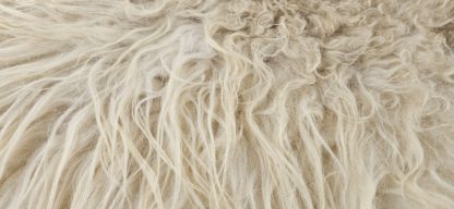 Grote witte vacht 'Tanja' - Afbeelding 3
