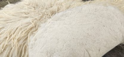 Grote witte vacht 'Tanja' - Afbeelding 4