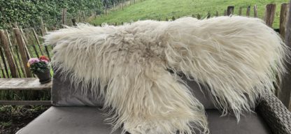Grote witte vacht 'Tanja' - Afbeelding 5