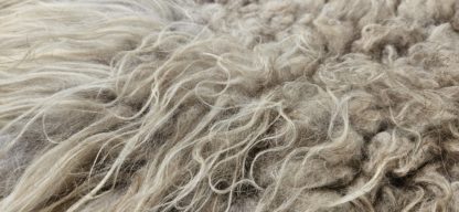 Lichte vacht 'Rozanne' - Afbeelding 3
