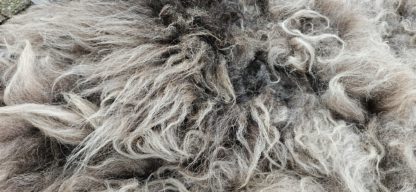 Vacht grijs/ bruin 'Billie' - Afbeelding 4