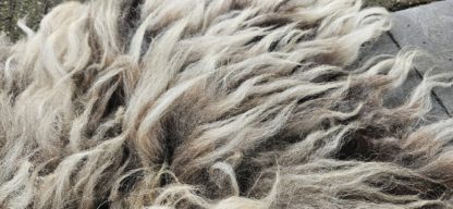 Vacht bruin/beige 'Sarah' - Afbeelding 4