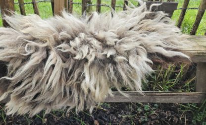 Vacht bruin/beige 'Sarah' - Afbeelding 6