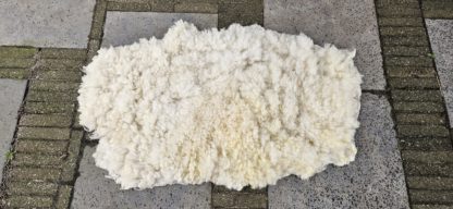 Vacht wit 'Mieke' - Afbeelding 2