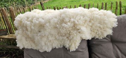 Vacht wit 'Mieke' - Afbeelding 5