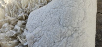 Vacht wit 'Marlies' - Afbeelding 4