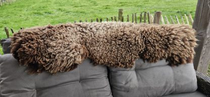 Vacht bruin 'Lies' - Afbeelding 6