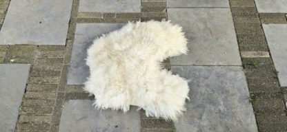 Vacht wit 'Lilly' - Afbeelding 2