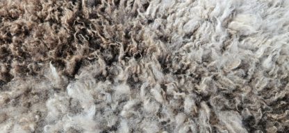 Vacht bruin/beige 'Vlinder' - Afbeelding 3