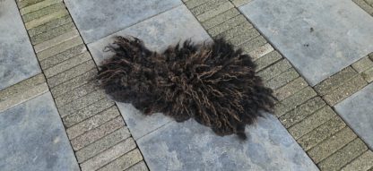 Vacht donkerbruin 'Morris' - Afbeelding 2