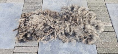 Vacht donkergrijs/lichtbruin 'Tobias' - Afbeelding 3