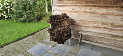 Vacht bruin 'Josefien'