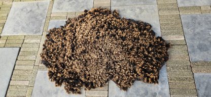 Vacht bruin 'Josefien' - Afbeelding 2