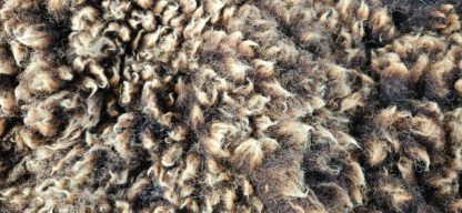 Vacht bruin 'Josefien' - Afbeelding 3
