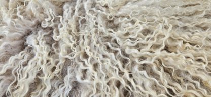 Lichte vacht krullen 'Mona' - Afbeelding 4