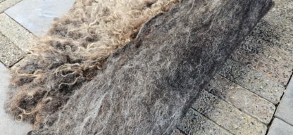 Vacht bruin 'Bibi' - Afbeelding 4